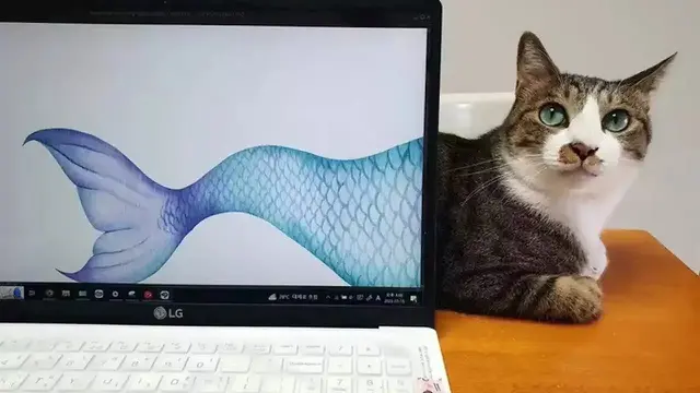 6 Momen Kebetulan Kucing Terjepret Kamera Ini Ciptakan Ilusi Optik