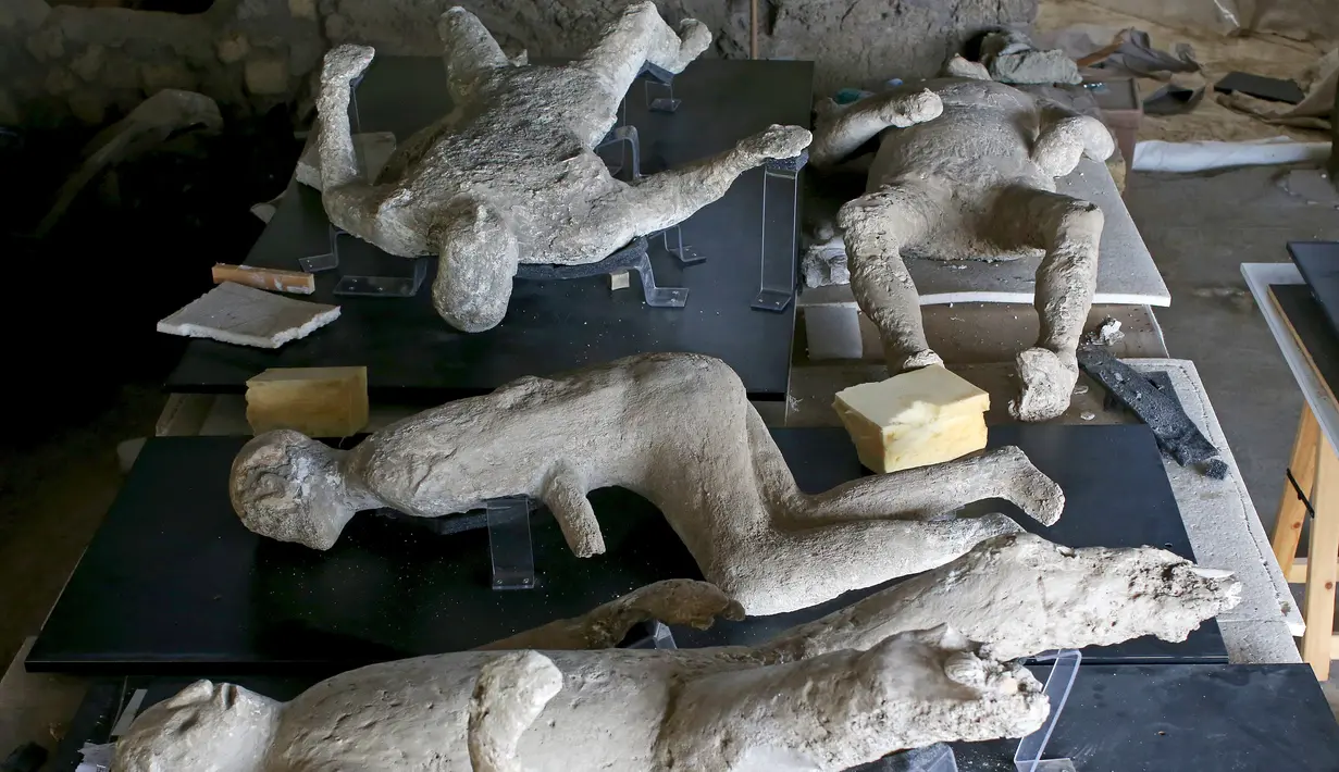 Sejumlah fosil manusia yang terkumpul yang telah diawetkan oleh para arkeolog di Napoli, Italia, Selasa (13/10/2015). Hal ini dilakukan karena tulang - tulang dari warga Pompeii ini sudah sangat rapuh. (REUTERS/Alessandro Bianchi)