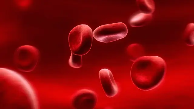 Kesadaran Hemofilia di Indonesia Masih Minim