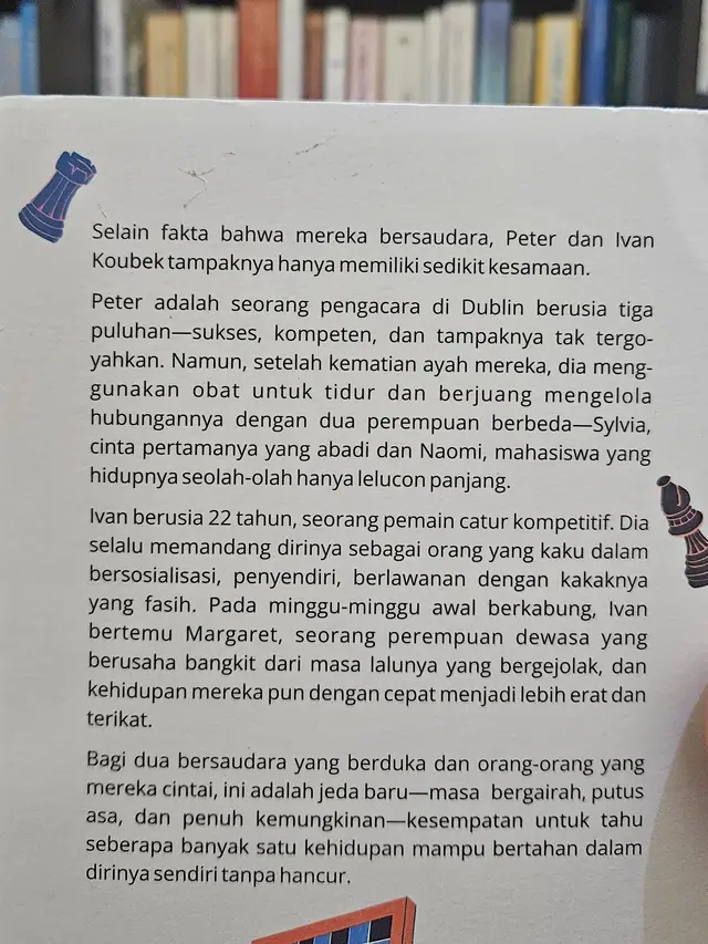 Blurb Novel Intermezzo
