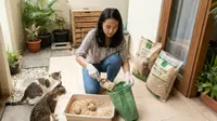 7 Cara Membuang Kotoran Kucing di Lahan Terbatas, Rumah Tetap Wangi dan Sehat