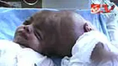liputan6