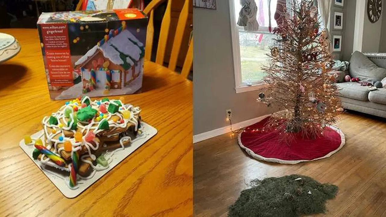 7 Momen Apes di Hari Natal, Dapat Hadiah yang Tidak Diduga
