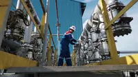 Pertamina EP Adera Field Temukan Sumur Minyak Baru, Sebesar Ini Potensinya