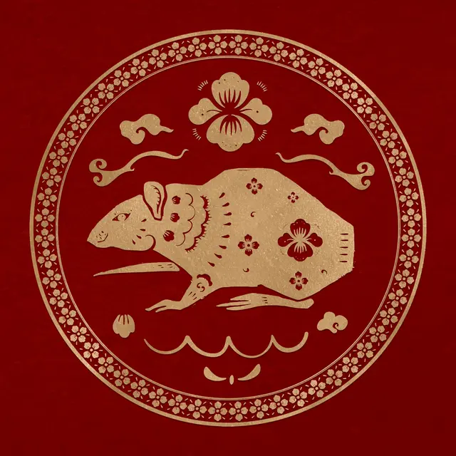 Rat