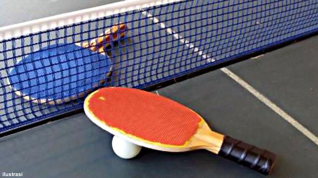 tenis_meja_130408c.jpg