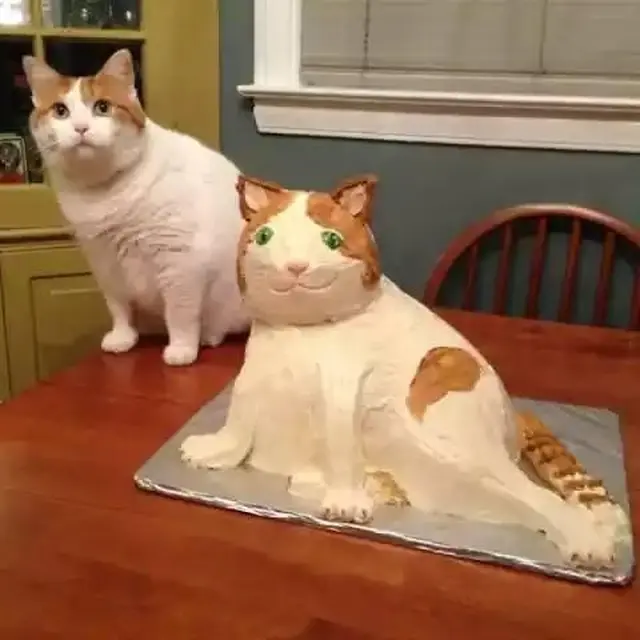 Kocak, 6 Potret Kue Mirip Hewan Ini Tak Sesuai Ekspektasi