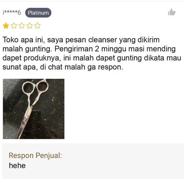8 Balasan Penjual di Kolom Ulasan Toko Online Ini Bikin Tepuk Jidat