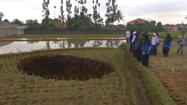 Lubang Raksasa Mendadak Muncul di Tengah Sawah Warga Sukabumi