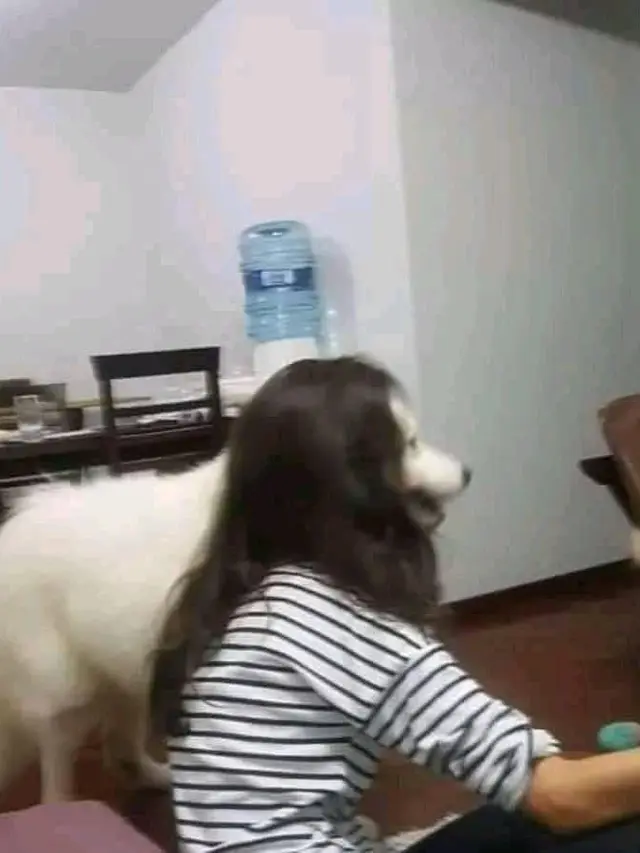 6 Foto Ilusi Optik Manusia Berkepala Hewan Ini Bikin Mikir Dua Kali