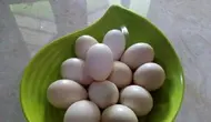10 Cara Jual Telur Ayam Kampung agar Cepat Laku dan Menguntungkan