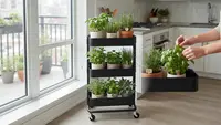 7 Ide Kebun Bumbu Dapur yang Hemat Tempat, Solusi Cerdas di Lahan Terbatas