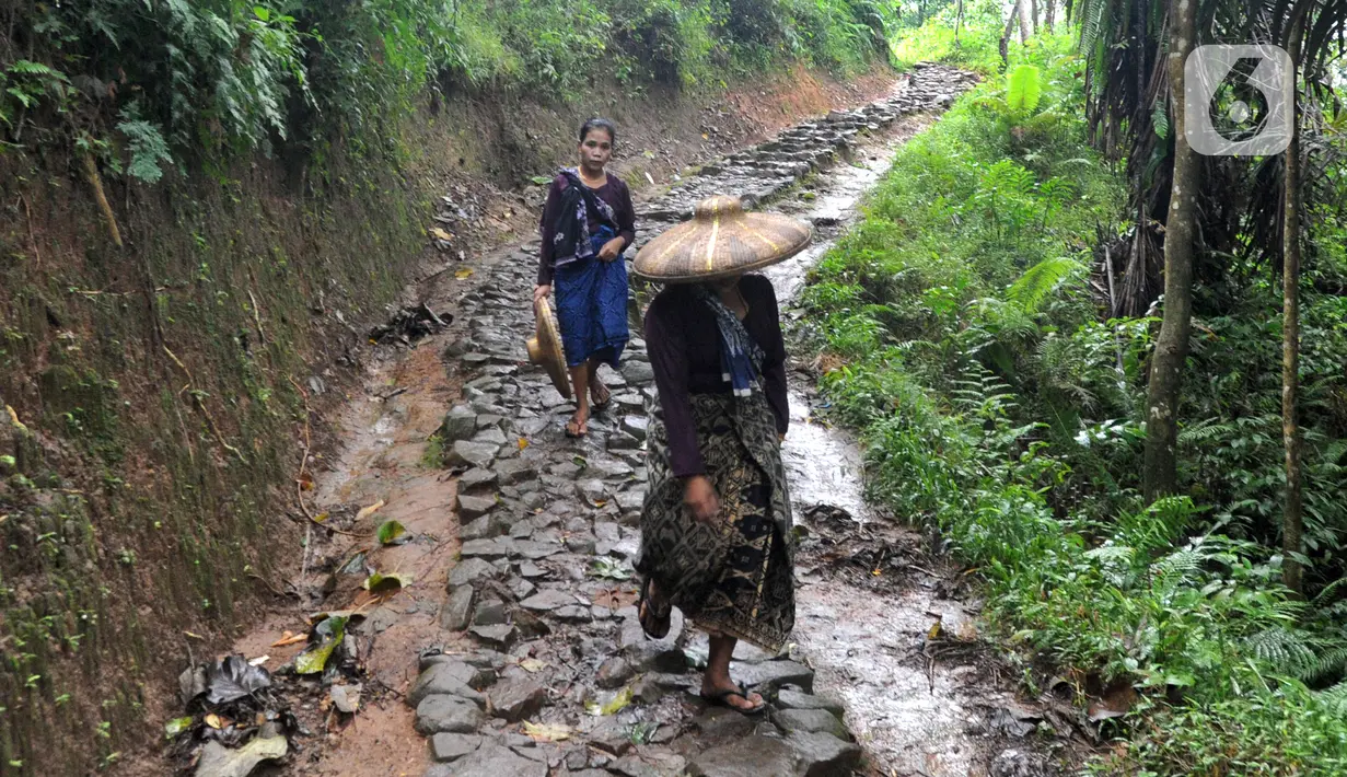 Hutan di Pegunungan Kendeng yang menjadi tempat bermukim warga adat juga menjadi kearifan lokal mereka dalam mengobati berbagai macam penyakit. (merdeka.com/Arie Basuki)