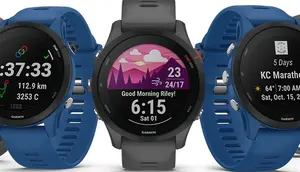 Mengenal 2 Pendiri Garmin yang Kini Makin Populer di Dunia