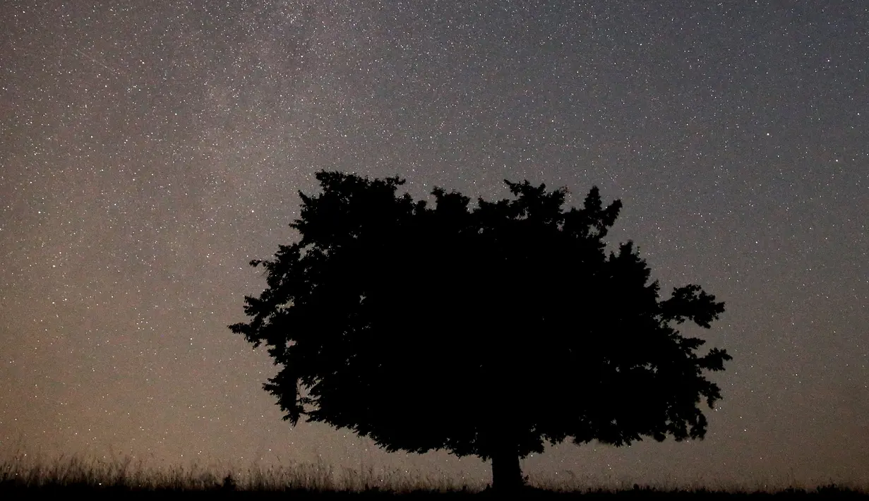 Meteor jatuh melintasi langit di atas Gunung Smetovi, Zenica, Bosnia dan Herzegovina, Rabu (12/8/2015). Menurut NASA, Hujan meteor Perseid mencapai puncaknya pada tanggal 12-13 Agustus di Eropa. (REUTERS/Dado Ruvic)