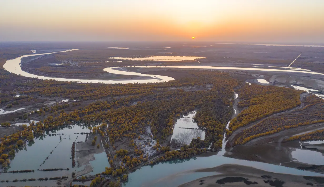 Foto dari udara yang diabadikan pada 22 Oktober 2020 ini menunjukkan pemandangan musim gugur hutan poplar gurun (populus euphratica) di sepanjang Sungai Tarim di Wilayah Xayar, Daerah Otonom Uighur Xinjiang, China barat laut. (Xinhua/Hu Huhu)