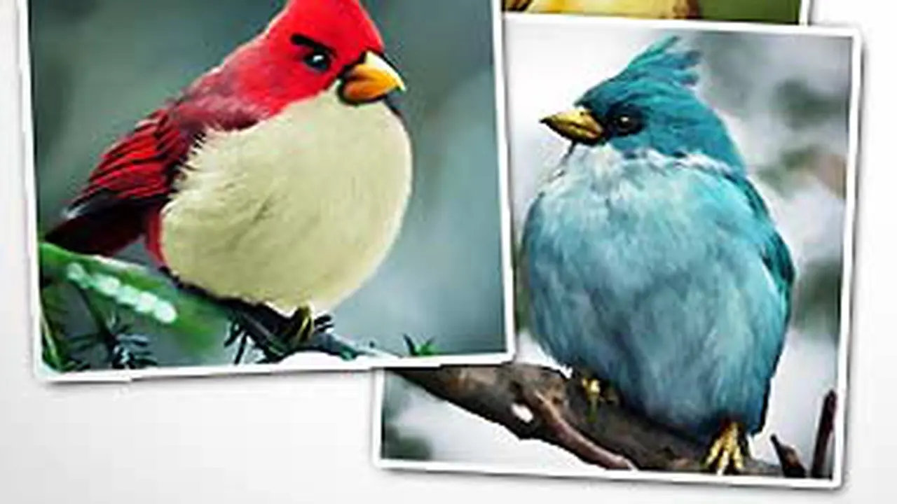 111110aangrybirds.jpg