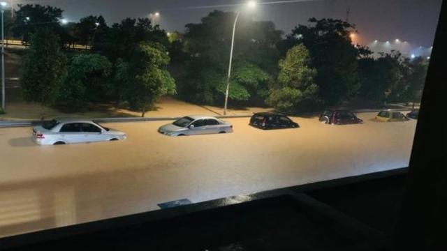 7 Momen Apes di Hari Natal, Dapat Hadiah yang Tidak Diduga