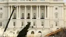 Pohon natal setinggi delapan puluh kaki diangkat dengan menggunakan alat berat di halaman sebelah barat Gedung Capitol US di Washington, AS (28/11). Pemasangan pohon ini dalam rangka persiapan untuk menyambut perayaan Natal. (Reuters/Gary Cameron)