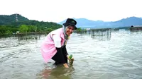 Perkuat Ketahanan Ekosistem Pesisir, 33 Ribu Bibit Mangrove Ditanam di Pesawaran Lampung