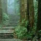 Kumano Kodo tak setenar Gunung Fuji, tapi keduanya sama-sama diakui sebagai warisan dunia oleh UNESCO. (dok. http://www.tb-kumano.jp/Dinny Mutiah)