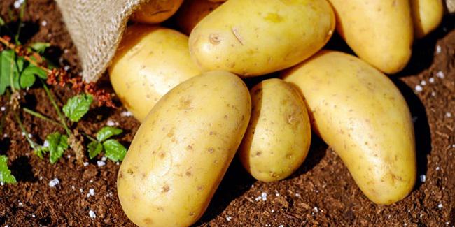 Gunakan air rebusan kentang untuk menghilangkan uban./copyright Pexels.com