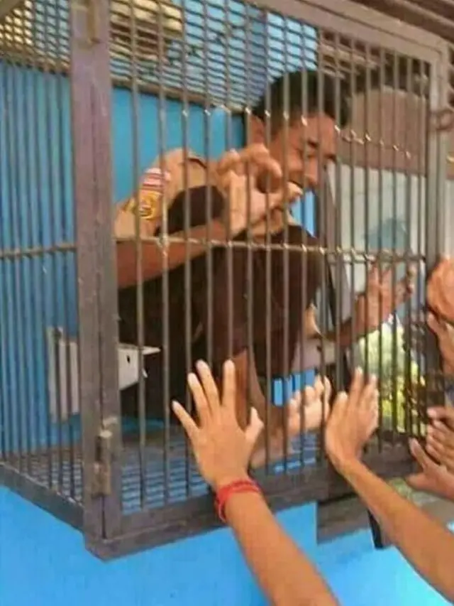 6 Tingkah Absurd Orang Masuk Kandang, Enggak Habis Pikir