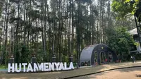 Hutan Menyala Tahura Djuanda. (Dok. tahuradjuanda.official/instagram)