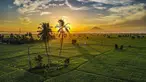 Foto udara pemandangan sawah saat matahari terbit di Samahani, Provinsi Aceh, Jumat, 24 Juli 2026. (AFP/ Chaideer Mahyuddin)