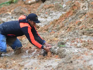 Warga menyelamatkan seekor kambing yang tertimbun longsor di Dusun Cimapag, Desa Sirnaresmi, Kecamatan Cisolok, Sukabumi, Selasa (1/1). Longsor menerjang Dusun Cimapag pada 31 Desember 2018. (Merdeka.com/Arie Basuki)