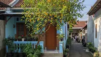 9 Pohon yang Cocok untuk Rumah Gang Sempit, Pilihan Aman dan Estetis Lahan Terbatas