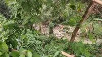 Warga temukan jasad bayi di aliran Kali Baru, Kelurahan Pabuaran, Kecamatan Bojonggede, Kabupaten Bogor. (Liputan6.com/Dicky Agung Prihanto)