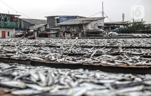 Kepala BPOM Soroti Video Viral Ikan Asin Diduga Disemprot Baygon
