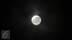 Fenomena alam Supermoon tampak di langit Kabupaten Bogor, Jawa Barat, Senin (14/11). Fenomena ini terjadi saat bulan mencapai titik terdekat dengan bumi dalam kondisi purnama atau penuh. (Liputan6.com/Helmi Fithriansyah)