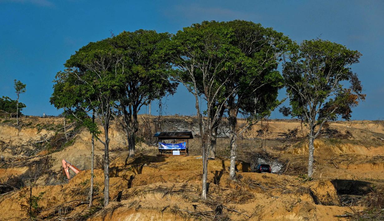 JATAM juga mencatat Aceh dibebani empat izin kehutanan dengan luas konsesi 207.177 hektare. Tampak foto menunjukkan pemandangan umum area penanaman baru yang telah diratakan dengan buldoser untuk perkebunan kelapa sawit di Lamno, Provinsi Aceh, Minggu 18 Januari 2026. (CHAIDEER MAHYUDDIN/AFP)
