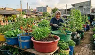 Ember Retak Jangan Dibuang, Ini 10 Ide Pemanfaatannya agar Halaman Lebih Rapi dan Produktif