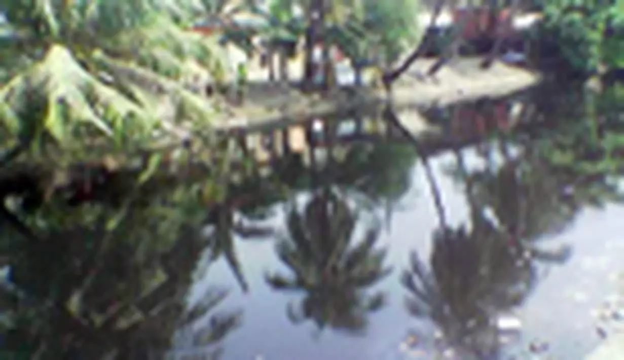 liputan6