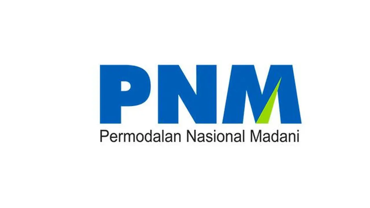 Logo PNM.