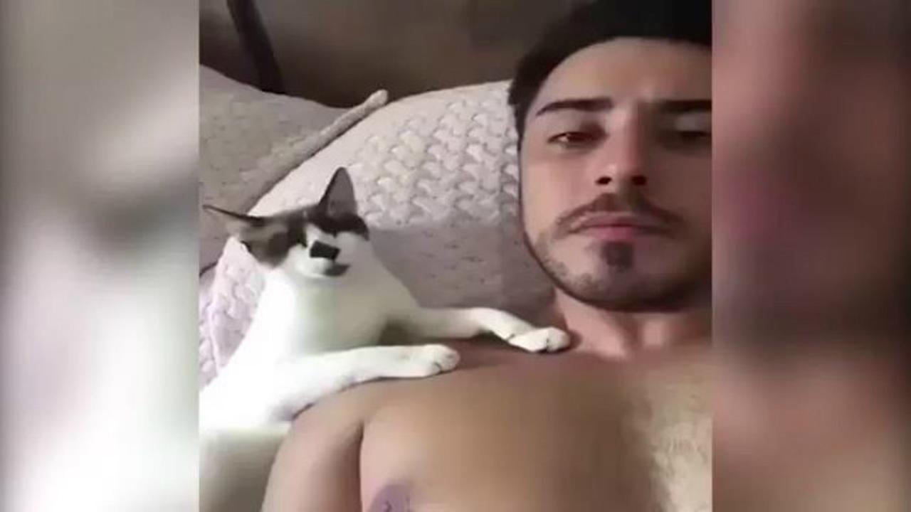 Awww.. Seekor Kucing Berciuman Bibir dengan Pemiliknya