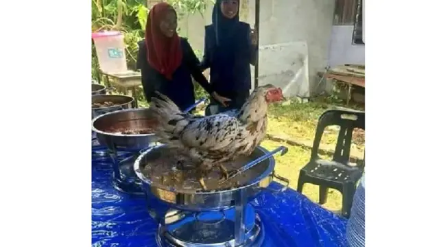 Super Kocak, Begini Nikahan Anti-Mainstream yang Cuman Ada di Indonesia