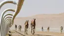 Robot joki mengendalikan unta dalam ajang balap unta saat  Festival Moreeb Dune 2019 di gurun Liwa, Abu Dhabi, Selasa (1/1). Festival ini juga menyelenggarakan berbagai balapan termasuk mobil, sepeda, elang, unta dan kuda. (KARIM SAHIB / AFP)