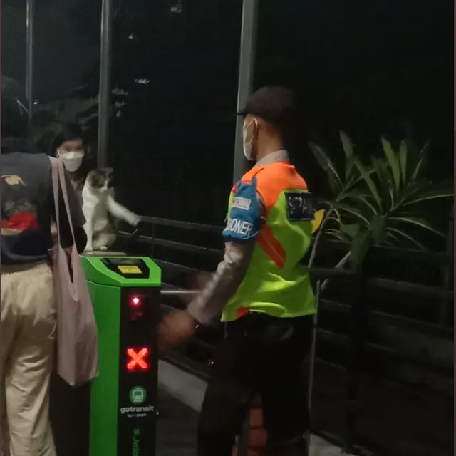 6 Potret Kucing Jadi 'Karyawan' Ini Menggemaskan, Ekspresinya Lucu Banget