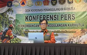 BNPB Ungkap Kondisi Terkini Kebakaran Hutan di 6 Provinsi