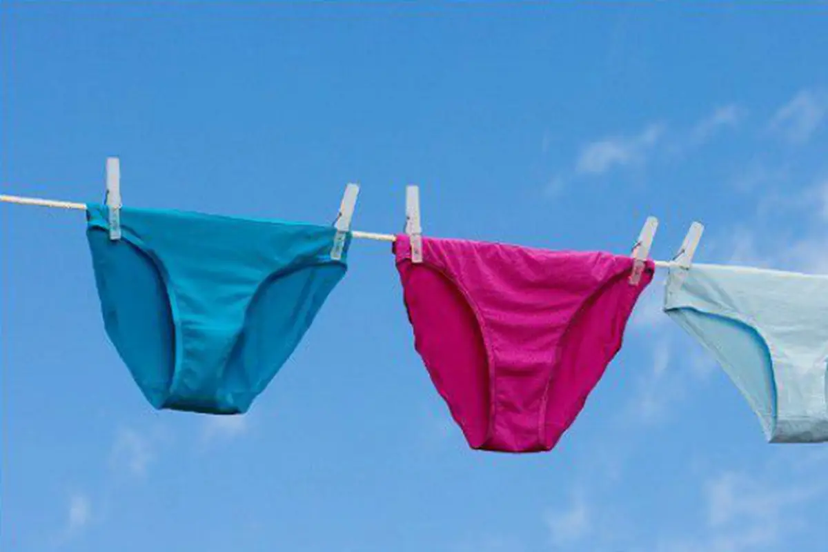 Ternyata Begini Evolusi Celana Dalam Wanita dalam 100 Tahun