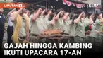 Upacara HUT ke-78 RI di Bali Safari Hadirkan Gajah hingga Kambing