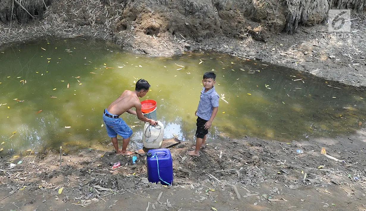 Dua anak Kampung Gamblok mengambil sisa air Kali Cihoe, Desa Ridomanah, Bekasi, Jawa Barat, Kamis (15/8/2019). Kemarau panjang sejak awal Ramadan memaksa warga mencari sisa air untuk diminum. (merdeka.com/Arie Basuki)