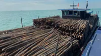 Bea Cukai Khusus Kepulauan Riau berhasil menegah kapal KM Putra Abadi yang kedapatan mengangkut kayu teki yang merupakan barang dalam kategori larangan dan pembatasan.