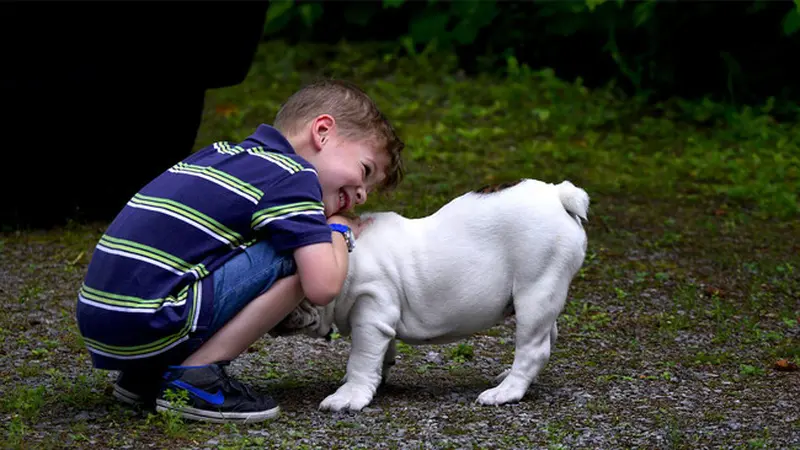 Ilustrasi Anak Bermain Bersama Anjing