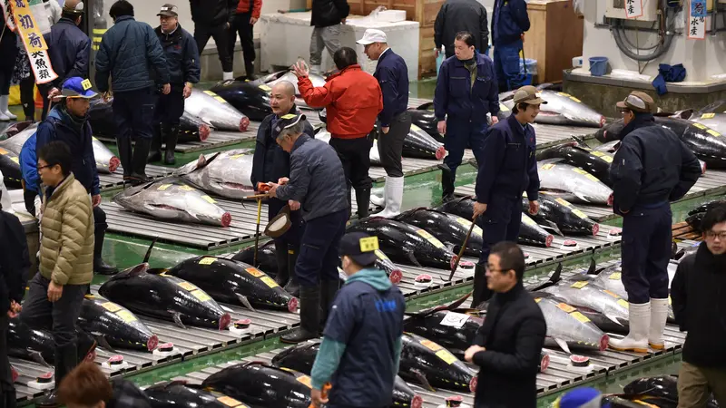 Lelang Tuna di Pasar Ikan Toyosu