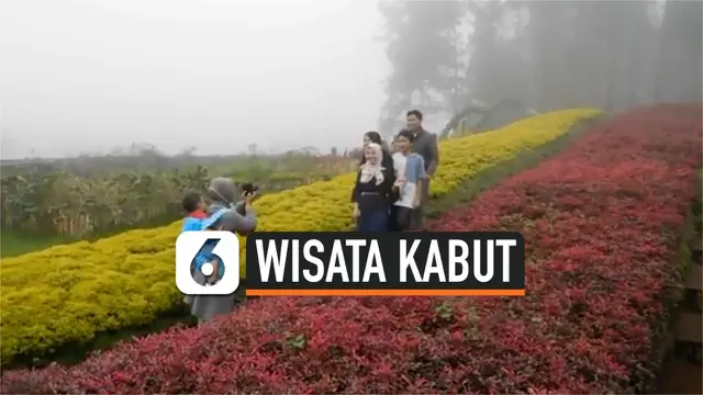 wisata kabut thumbnail